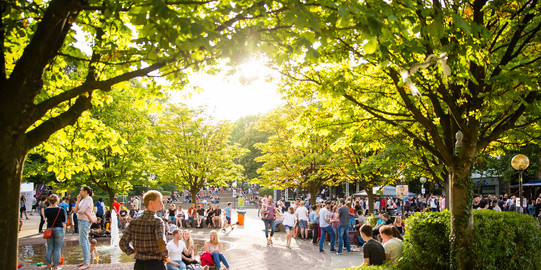 Sun shines through the crowns of the trees on the North Campus during the Summer Fest